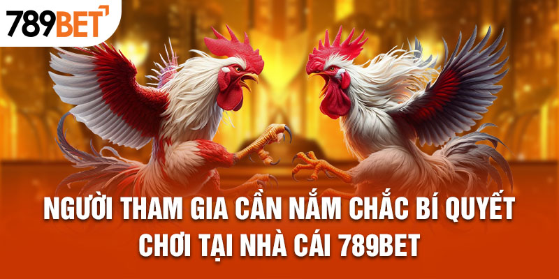 Người tham gia cần nắm chắc bí quyết chơi tại nhà cái 789bet