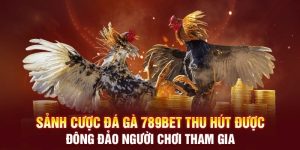 da-ga-truc-tiep-binh-luan-vien-gioi-thieu