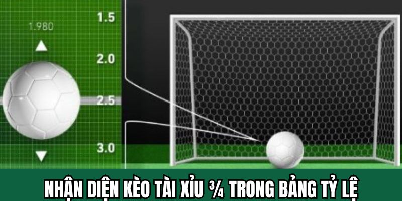 Cách phân biệt kèo tài xỉu 3/4 trong khi chơi cá cược tại 789bet