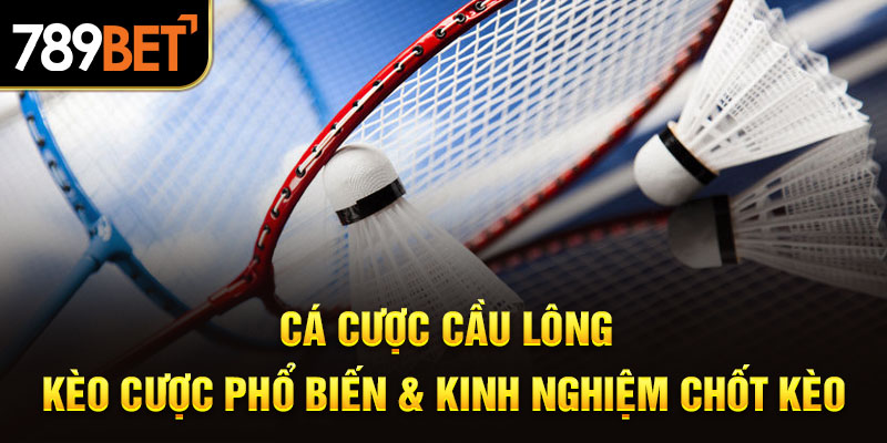 Cá Cược Cầu Lông